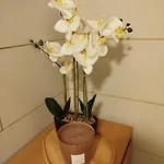 公寓 Zur Goldenen Glocke 梅谢尼希