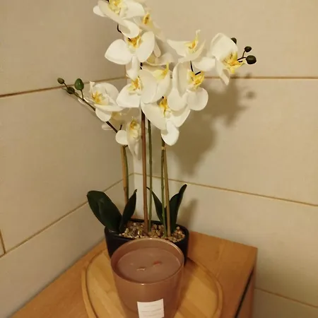 Apartment Zur Goldenen Glocke Mechernich
